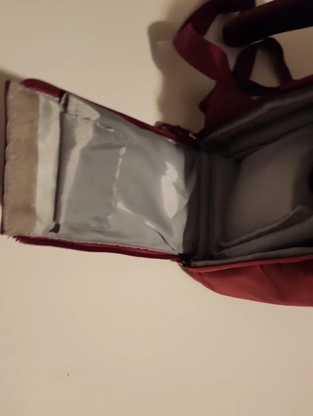 Beaspire Burgundy Multimedia Backpack